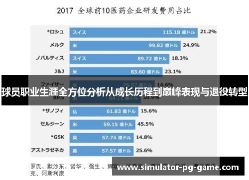 球员职业生涯全方位分析从成长历程到巅峰表现与退役转型 球员职业生涯全方位分析从成长历程到巅峰表现与退役转型