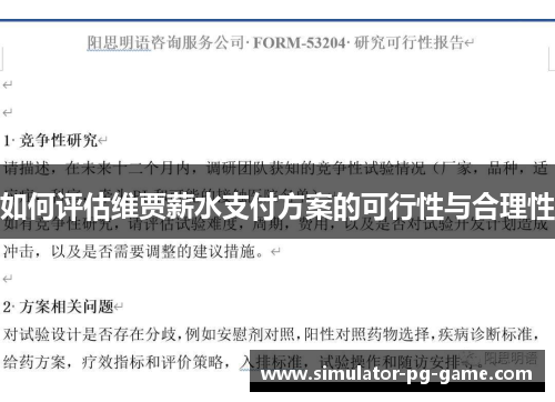 如何评估维贾薪水支付方案的可行性与合理性