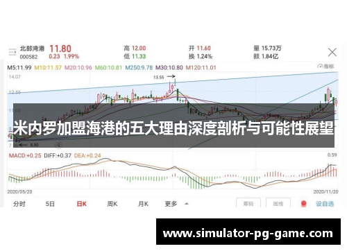 米内罗加盟海港的五大理由深度剖析与可能性展望