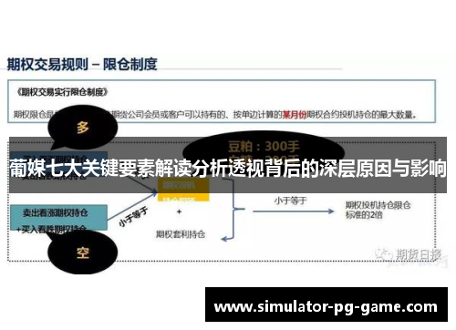 葡媒七大关键要素解读分析透视背后的深层原因与影响