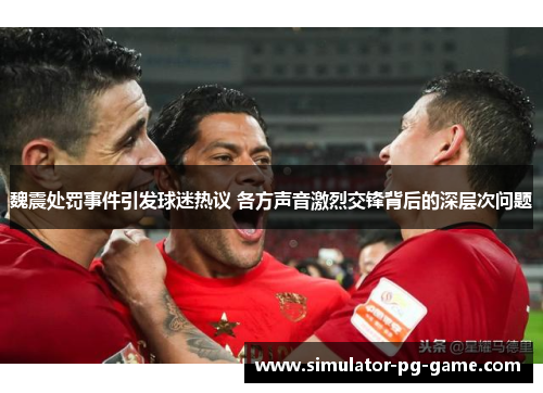 魏震处罚事件引发球迷热议 各方声音激烈交锋背后的深层次问题